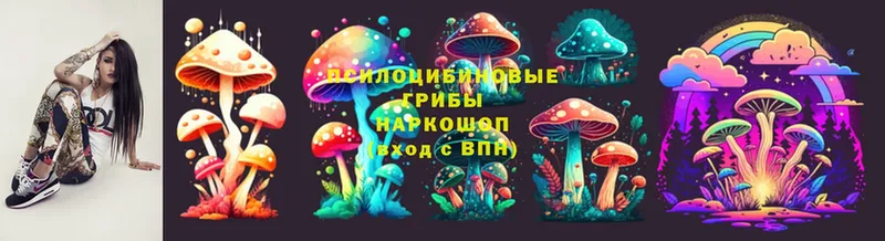 площадка состав  Ишим  Псилоцибиновые грибы Psilocybine cubensis 